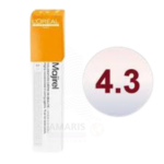 L'ORÉAL PROFESSIONNEL MAJIREL 4.3 GOLDEN BROWN PERMANENT HAIR COLOUR Amaris Beauty